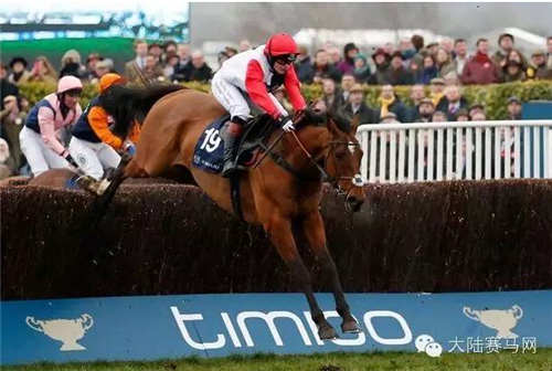 英国女自行车奥运冠军转行赛马:大型比赛拿第5 1.jpg