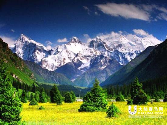 全国速度赛马公开赛(昭苏站)呈现七大亮点 大陆赛马网.jpg