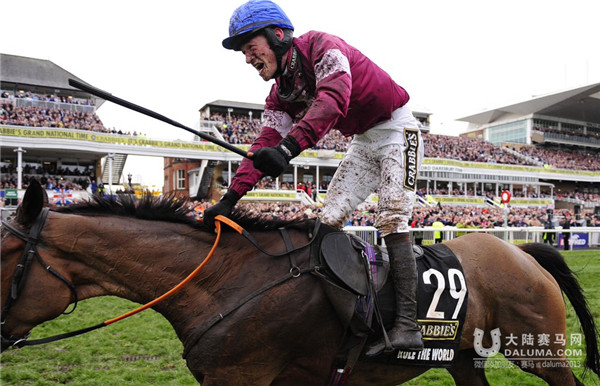 39匹马参赛23人坠马!19岁骑师2016英国国家障碍大赛马夺冠 大陆赛马网 (1).jpg