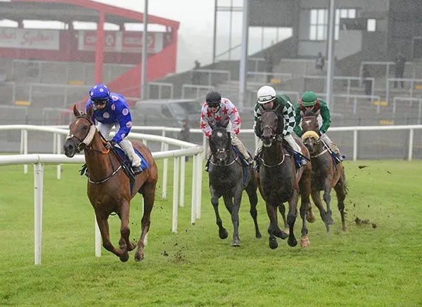 山西玉龙马业旗下“玉龙珍珠岛”爱尔兰2400米夺冠:父系“灯塔岛” 大陆赛马网.jpg