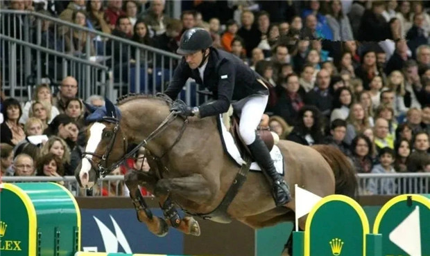 16岁马术场地障碍大奖赛马Casallo Z退役 曾征战欧锦赛和国家杯总决赛 青马网大陆马.jpg