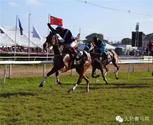 《马上聚焦》覃勇陈黎:驰骋在巴巴多斯赛场上的中国赛马双子星 3.jpg