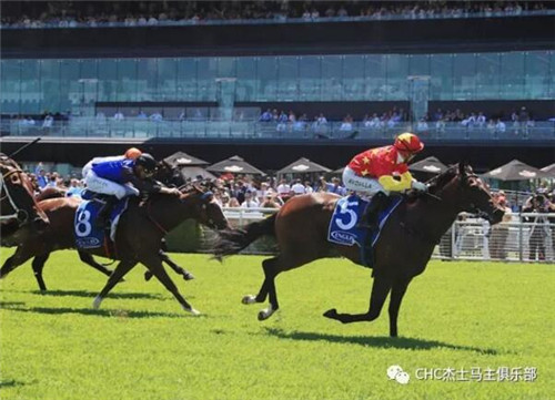 CHC杰士马主俱乐部赛驹闪耀澳洲赛场:三天狂揽四冠4.jpg