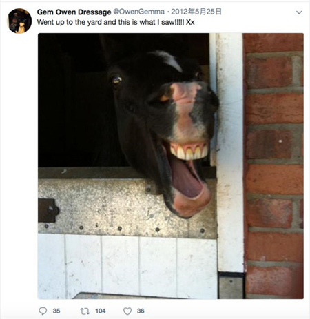 田亮女儿森碟马术照上热搜!听听星二代怎么看待“马术”! 大陆马 (4).jpg