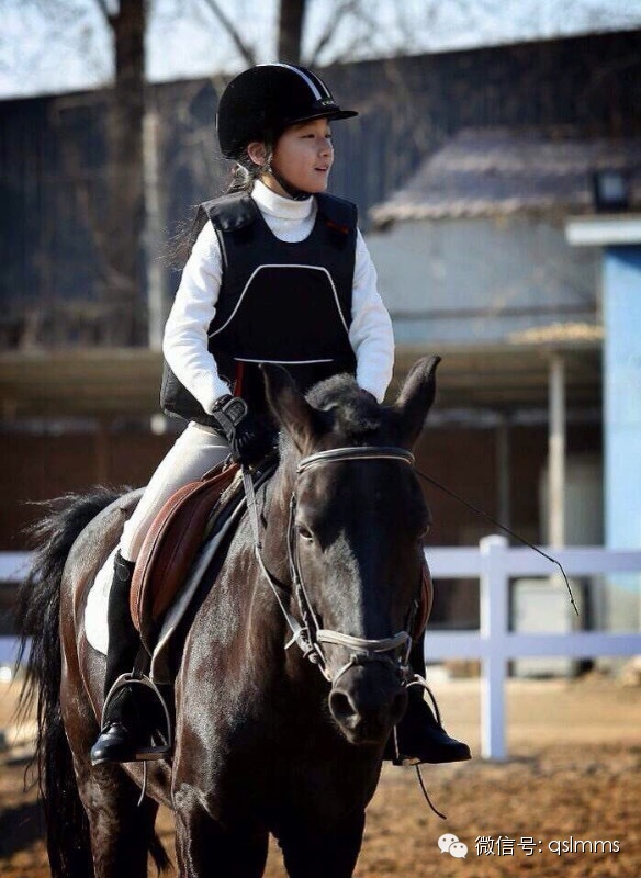 中联骑士联盟《我与马儿亲密接触》摄影大赛第四期投票 大陆赛马网4.jpeg
