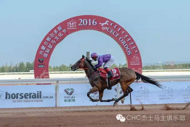 驭马奔腾 助力体育强国民族梦——CECF鄂尔多斯驭马文化节圆满收官 14.jpg