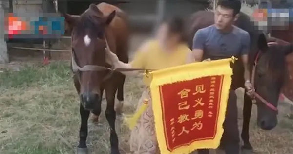 福建第三匹“救命恩马”也开始生病!马场教练:向大家说声抱歉! 青马网大陆马 (1).jpg