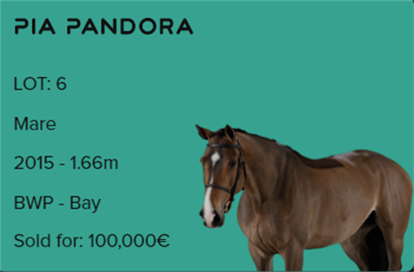 19匹马超2300万成交额!全球顶级温血马拍卖会完美收官! 大陆马 (4).png