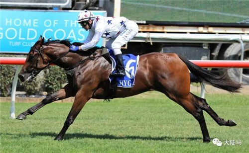 三匹赛驹冲击千万赛事冠军:澳洲Aquis雅士牧场频出亮眼大招3.jpg