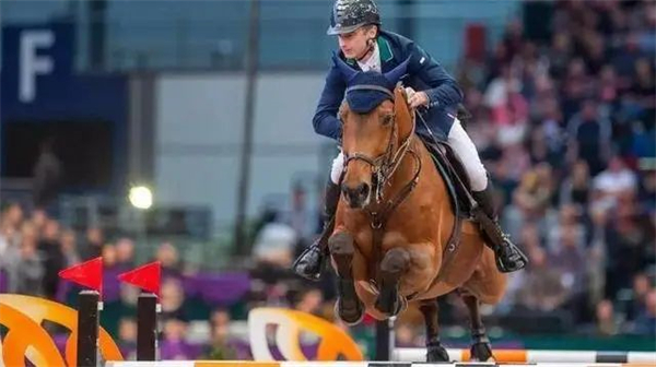 19匹马超2300万成交额!全球顶级温血马拍卖会完美收官! 大陆马 (2).jpg