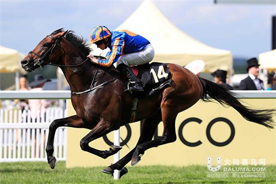 2016皇家阿斯科特赛马会第3日全记录:岳伯仁梅开二度 (1).jpg
