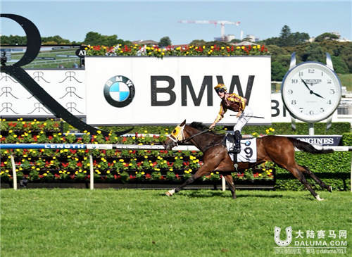 新西兰赛马“得凡哥”澳洲打吡夺冠 “黄金雄心”第七 大陆赛马网 (1).jpg