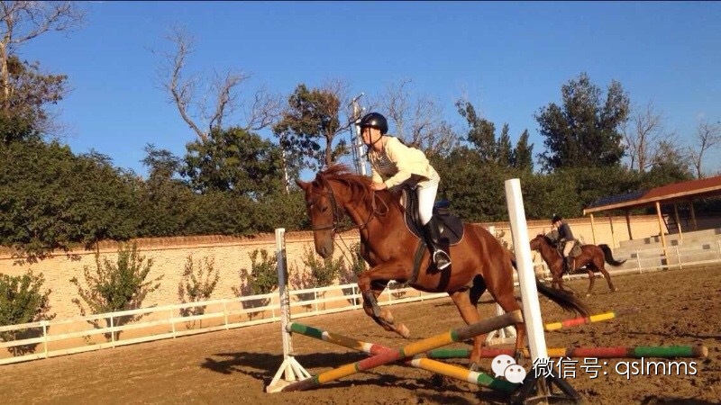 中联骑士联盟《我与马儿亲密接触》摄影大赛第五期投票 大陆赛马网4.jpeg