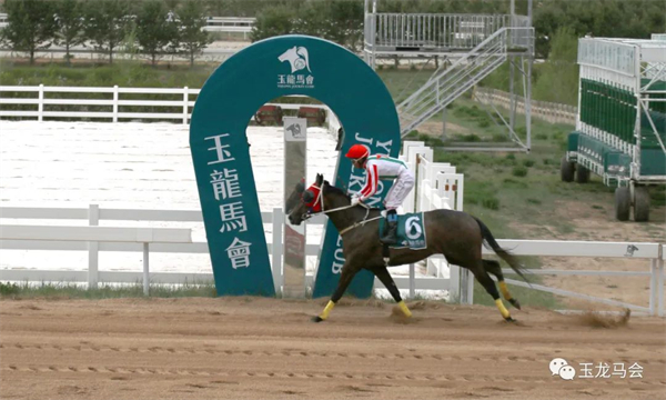 张明亮、陆金贵包揽2岁马赛事双冠!“骐骥东兴”、“飞霞踏雪”B组夺冠 大陆马 (1).jpg