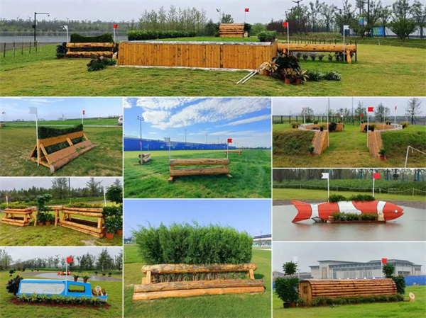 北京威斯恩国际马术设备有限公司:中国马术设备领军企业! 大陆马 (22).jpg