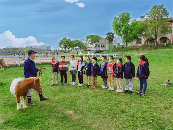 青马·校园马术社团 大陆马陪伴小小骑士一路成长! 大陆马 (1).png