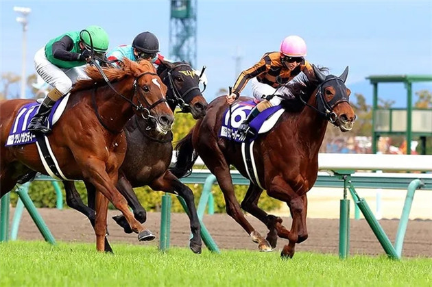 日本赛马骑师松若风马伙拍“魔族闪焰”首尝一级赛胜利 大陆赛马网.jpg