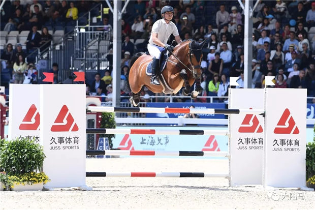 五星级上海GCT与成都二星级赛事“撞车”,中国FEI星级马术赛事6月全面开启! 青马网大陆马 (6).jpg