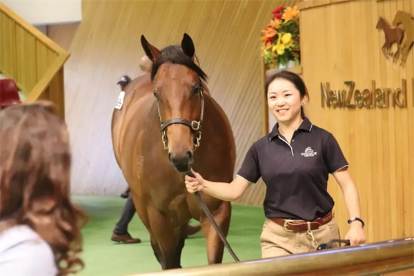 北京女孩二次加冕国外耐力赛冠军,北外金融系毕业赴新西兰追梦的第8年 大陆马.jpg