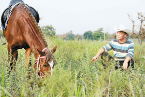 秦岭脚下牧马人 大陆赛马网2.jpg