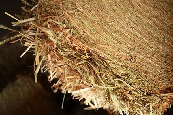 青马课堂:给马配置饲料是一门艺术 大陆马.jpg