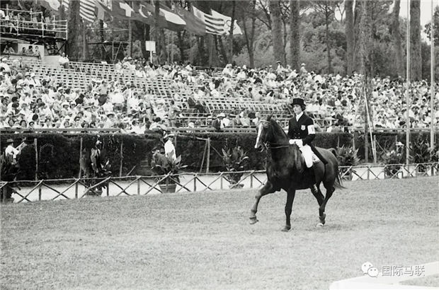 1960年罗马奥运会马术比赛 澳洲骑手从医院病床回到赛场拿到金牌 青马网大陆马 (2).jpg