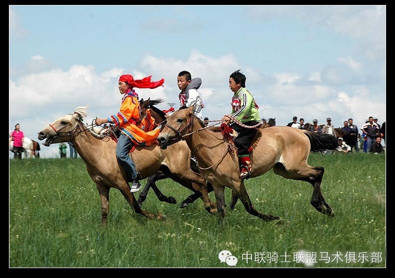 中联骑士联盟马术课堂:了解马的外形和习性 大陆赛马网.jpeg
