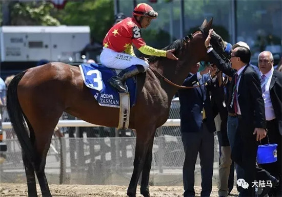 翻家谱,神奇基因起作用!CHC三岁雌马“探险家”连夺三场G1冠军.webp (6).jpg