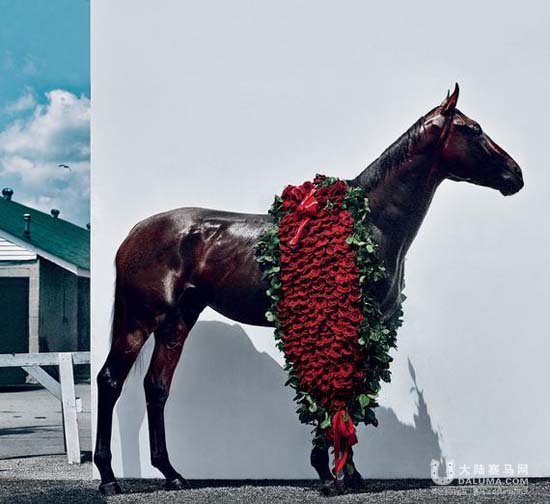 登时尚杂志就得瘦身!三冠王赛马“美国法老”也不例外 大陆赛马网