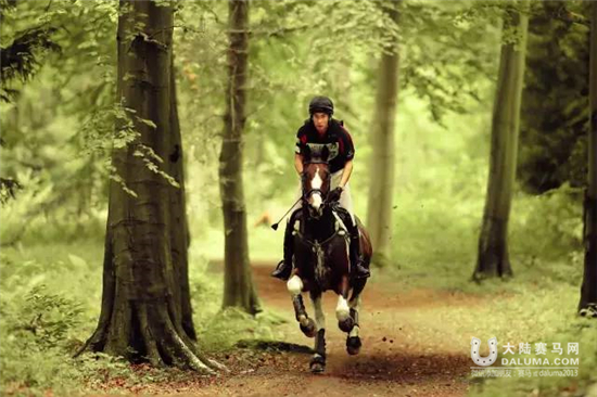 中国骑士华天:我想再战 10 届奥运会7.jpg