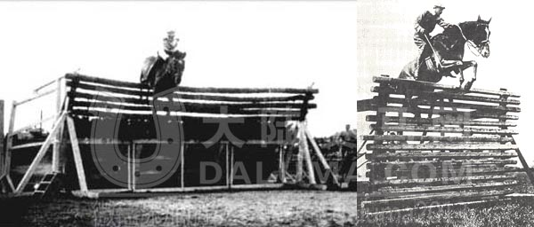 一匹马究竟能跳多高--大陆赛马网.jpg