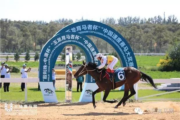 《马上聚焦》玉龙赛马日视频全记录+竞猜游戏中奖名单 4.jpg