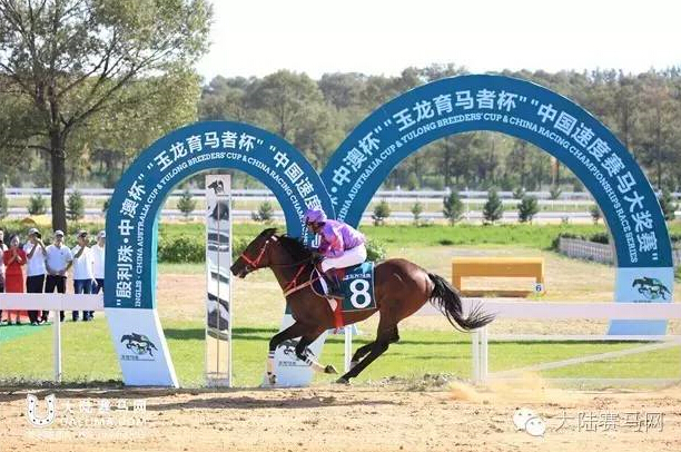 《马上聚焦》玉龙赛马日视频全记录+竞猜游戏中奖名单 8.jpg