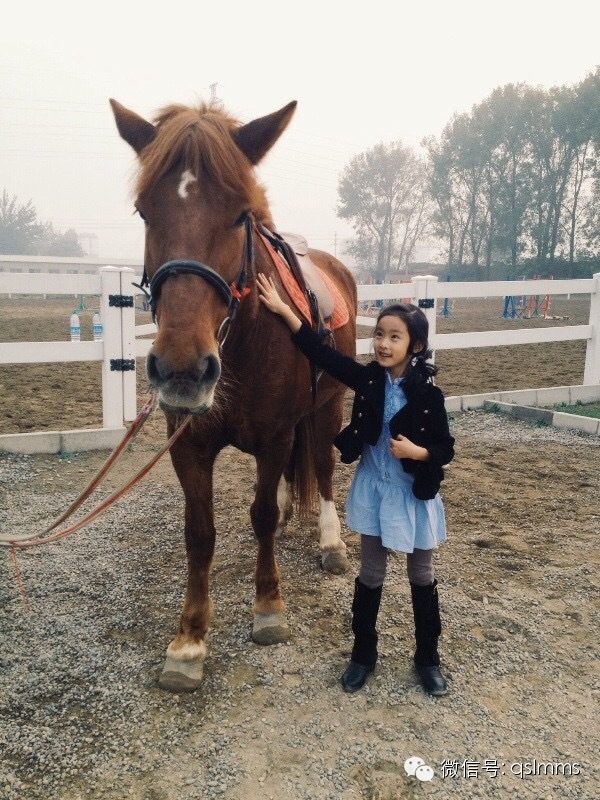 中联骑士联盟《我与马儿亲密接触》摄影大赛第三期投票 大陆赛马网4.jpeg