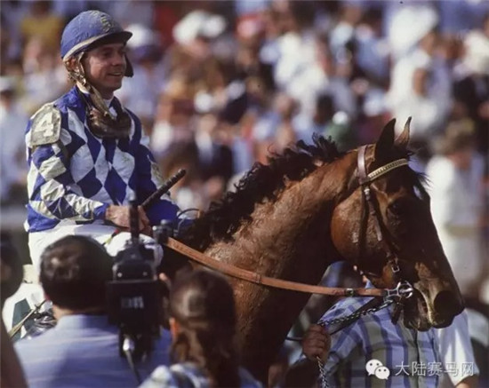 一周全球赛马新闻精选NO.2:中国俱乐部海外狂揽5冠,美总统选举频提赛马 大陆赛马网5.jpg