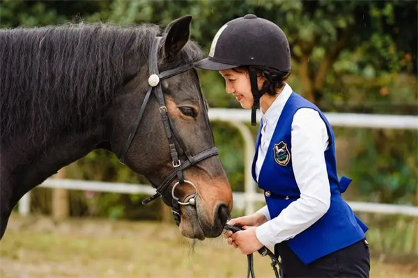青马课堂:学习马术的8大好处 大陆马 (2).jpg