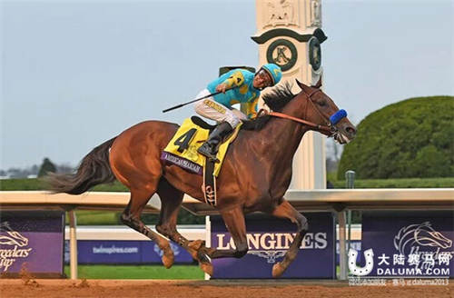 三冠王“美国法老”当选2015年浪琴表世界最佳赛马 大陆赛马网2.jpg
