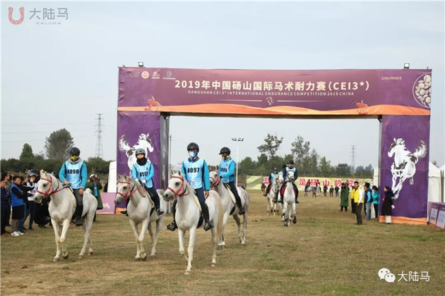 砀山县委书记直播带货卖梨!已把砀山打造成马术耐力赛名城 大陆赛马网 (3).jpg