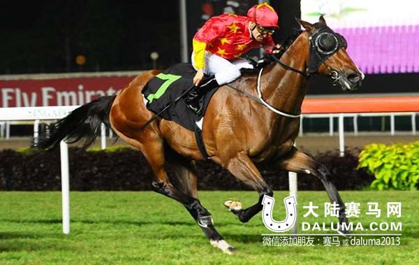 CHC杰士马主俱乐部旗下赛马胜利呼唤A La Victory 大陆赛马网.jpg