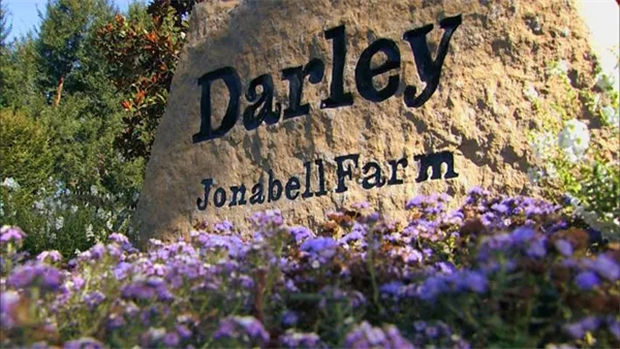 酋长的赛马生意经:旗下澳洲种马同时配种一次,秒赚270万 大陆赛马网 (5).jpg