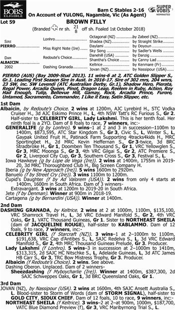 日澳买家争相抢购!玉龙三匹周岁马在澳洲售出600万高价 大陆马大陆赛马网.jpg