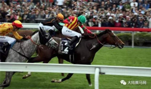 赛马让世界聚焦香港:全球精英赛驹角逐4场8300万奖金一级赛4.jpg