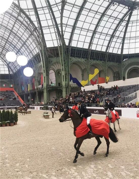 花三个亿为女儿养马,原来有钱人家这么养娃 大陆马 大陆赛马网 (2).jpg