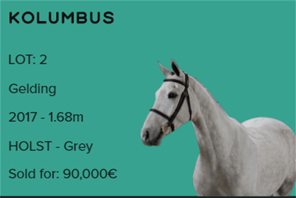 19匹马超2300万成交额!全球顶级温血马拍卖会完美收官! 大陆马 (2).png