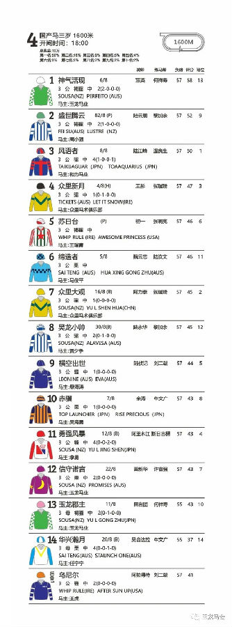 马闻早报丨东京奥运会马术官方宣传片发布,大陆马直播玉龙第11赛马日 (12).jpg