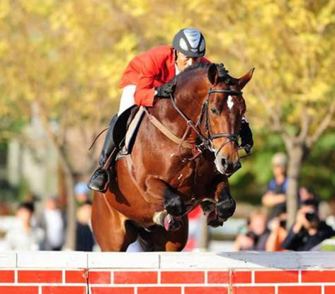 农民马王李振强:赛马是我的一项事业 大陆赛马网