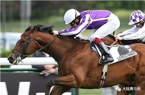 “皇家天文”在天赐圣泉配种：“丹山”兄弟�、子嗣奖金超4200万