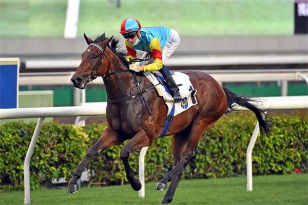 爱驹游泳死亡,打吡热门伤腿,不断损兵折将……香港顶级练马师霉运不断! 大陆马 (2).jpg