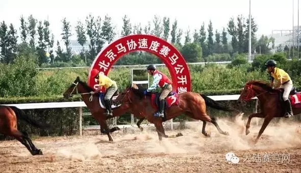 《每周马闻播报》六月第1周:“青马乐园”全国马术趣味推广赛反响热烈3.webp.jpg
