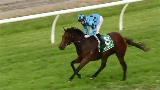 赛季100胜!2岁赛马“伊戈尔”为Aquis Farm雅士牧场带来澳洲本赛季第100个头马! 大陆赛马网 (2).jpg